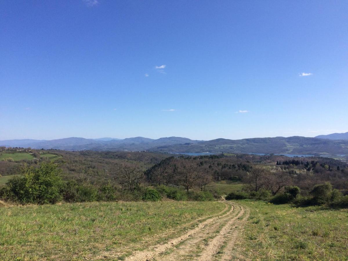 Agriturismo Corzano Барберино-ді-Муджелло Екстер'єр фото