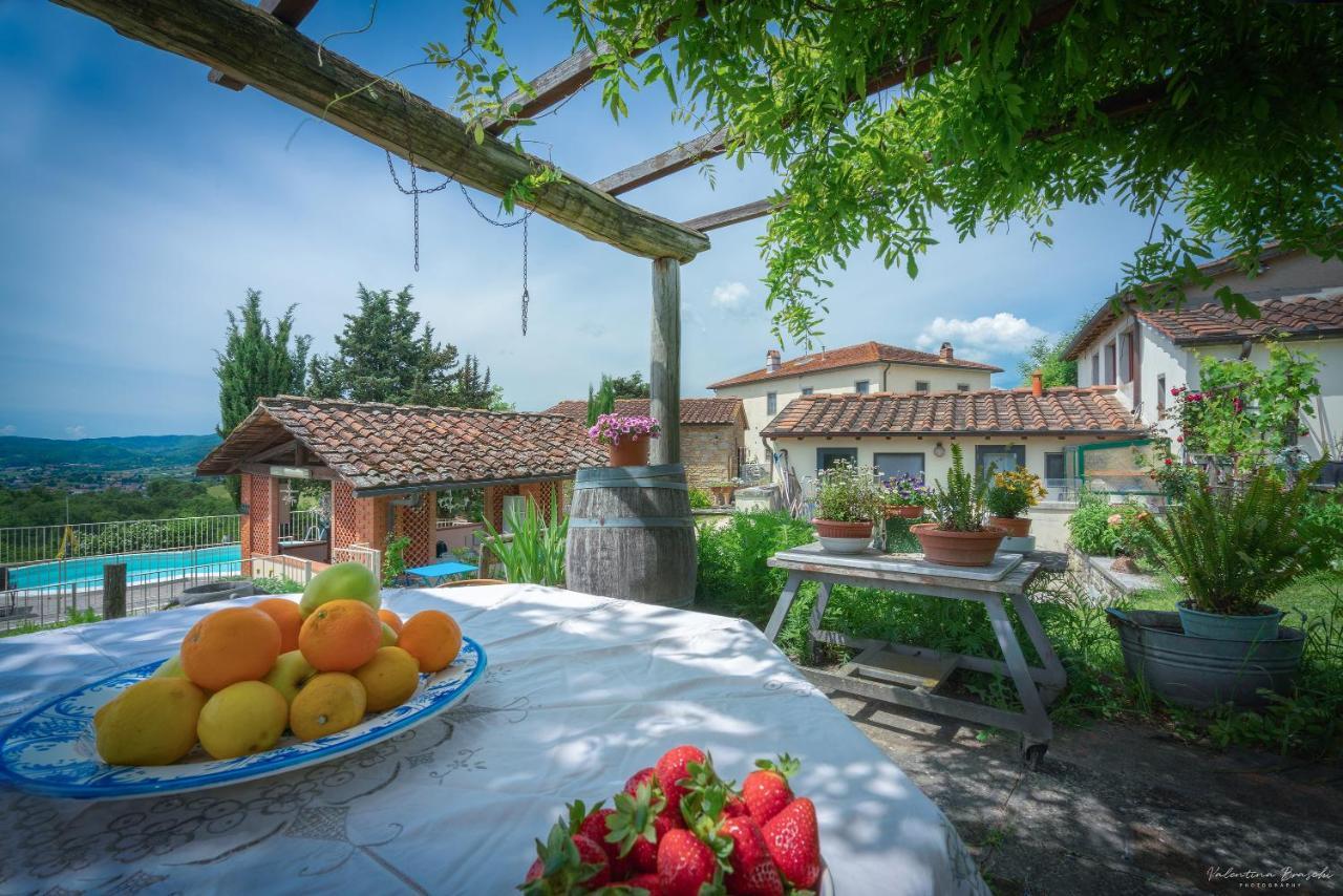 Agriturismo Corzano Барберино-ді-Муджелло Екстер'єр фото